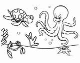 Coloring Pages Easy Color Preschool Animals Cute Ocean sketch template