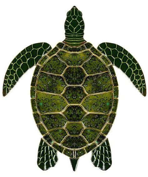 sea turtle turtle art green sea turtle pool mosaic