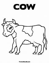 Cow Coloring Pages Calf Holstein Calves Cows Template Choose Board sketch template