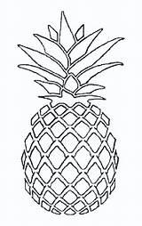 Pineapples sketch template