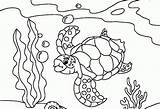 Coloring Sea Pages Turtles Turtle Kids Printable Popular sketch template