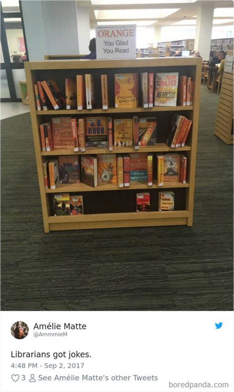 these librarians will make you laugh while reading 40 pics
