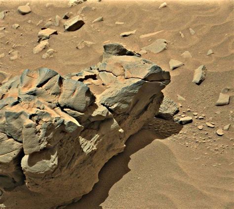 nasa find huge dragon on mars with rover curiosity
