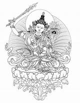 Buddhist Tara Tibetan Coloring Line Downloads Buddha Tattoo Drawing Thangka Deities Drawings Green Tibet Lotus Sakyamuni Throne Reference Saraswati Template sketch template