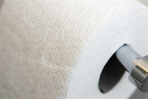 toilet paper reviews  wirecutter
