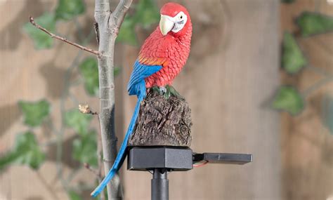 parrot solar light groupon