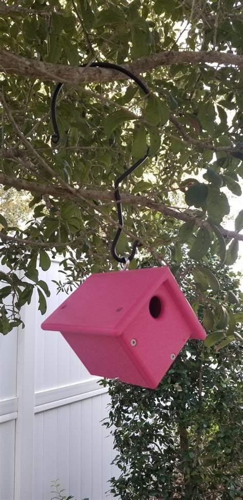 poly small wren bird house  dutchcrafters amish furniture