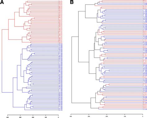 Sex Differences In The Genome Wide Dna Methylation Pattern And Impact