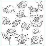 Insects Coloriage Insectes Aplemontbasket sketch template