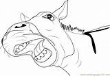 Donkey Coloringpages101 sketch template