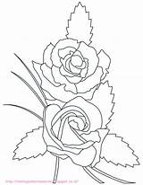 Mewarnai Bunga Mawar Paud Ini sketch template