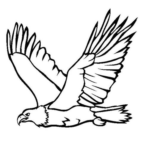 great flying bald eagle coloring page netart eagle painting