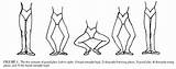 Plie Grand Releve Knee Plié Rotation Dancers Classical Position During Phases Ballet Movement Spring March sketch template
