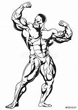 Bodybuilder Muscular Bodybuilding Drawing Sticker Illustration Vector Getdrawings Wall Stickers Pixers Visualization Seller sketch template