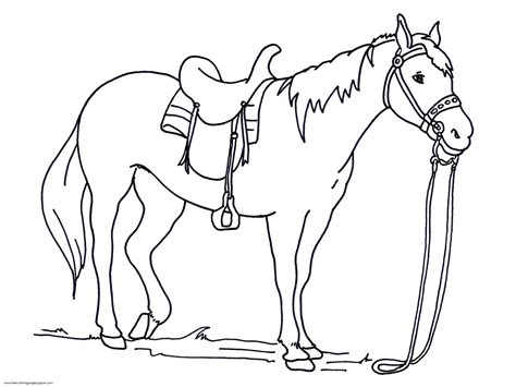 horse coloring pages  printable printable world holiday