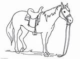 Horse Coloring Pages Realistic Print sketch template