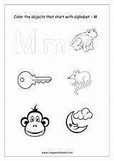 Color Objects Alphabet Starting Megaworkbook Things Start Worksheet Only sketch template