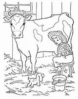 Cow Milking Mewarnai Sapi Colorluna sketch template
