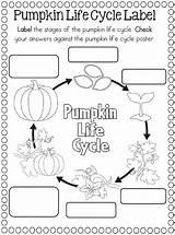 Pumpkin Cycles sketch template