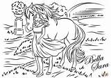 Ausmalbilder Pferde Coloringpages Own sketch template