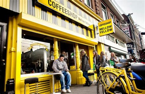 Amsterdam Mayor Says Coffee Shops Will Remain Open The New York Times