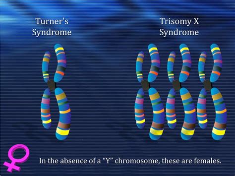 Ppt Biology And Sex Chromosomal Sex Chromosomal
