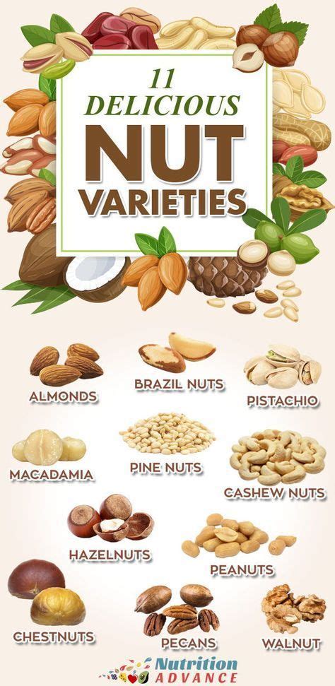 types  nuts    compare walnuts nutrition nutrition