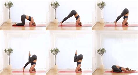 headstand yoga steps yoga poses