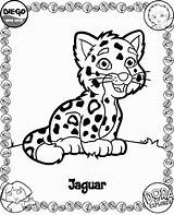 Coloring Diego Kleurplaat Harimau Kleurplaten Ausmalbild Mewarna Kertas Kanak Halaman Cat Haiwan sketch template