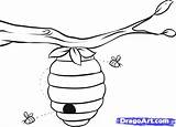 Bee Beehive Draw Drawing Coloring Pages Bees Hive Bumble Honey Easy House Outline Step Choose Board Drawings sketch template