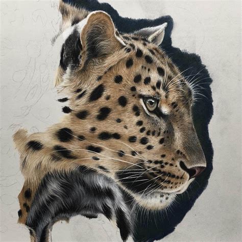 realistic colored pencil drawings  animals ideas greener