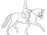 Horse Dressage Drawing Lineart Training Use Drawings Morda Vox Deviantart Coloring Pages Outline Google Gaited Dibujos Animal Getdrawings Sketches Caballos sketch template
