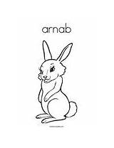 Coloring Arnab Template Change Twistynoodle Built California Usa Noodle Rabbit sketch template