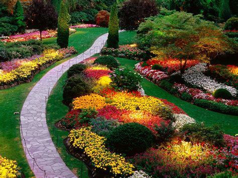 amazing  blog beautiful flower garden