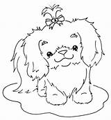 Tzu Shih Coloring Pages Cute Dog Digi Sliekje Puppy Stamps Drawing Colouring Color Print Tekenen Embroidery Getcolorings Bow Hallo Allemaal sketch template