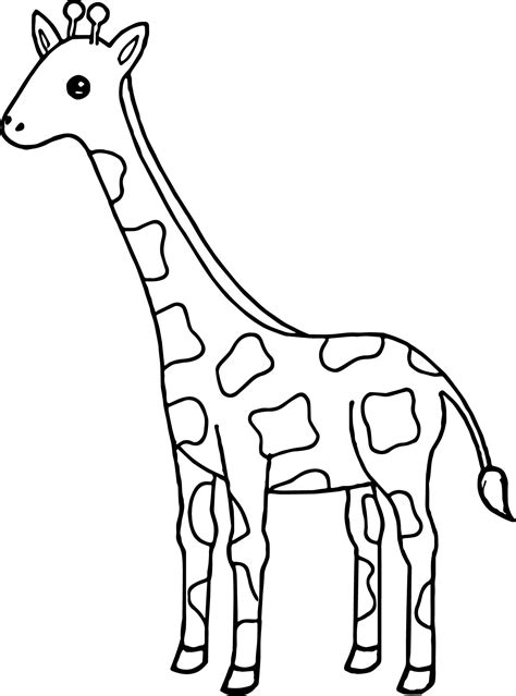giraffe  spots   body