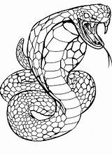Serpente Cobra Stampare Puliti Scritte Senza sketch template