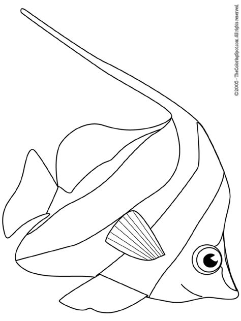 angelfish coloring page audio stories  kids  coloring pages