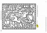 Rainforest Animal Rainforests Coloringhome Jungle sketch template