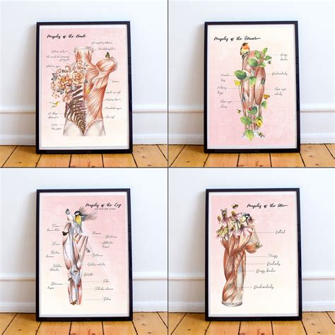 T For Massage Therapist Floral Anatomy Massage Room Art Muscular