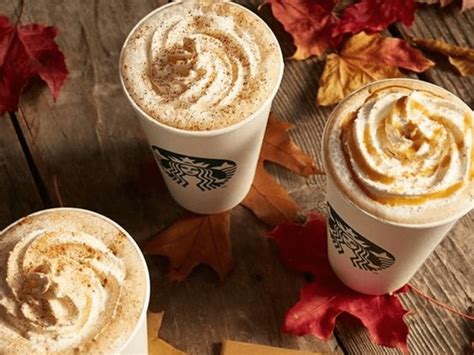 8 Amazing Drinks To Try At Starbucks This Fall Society19