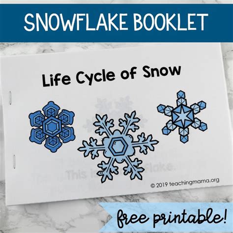 life cycle  snowflakes booklet winter theme preschool life cycles winter classroom
