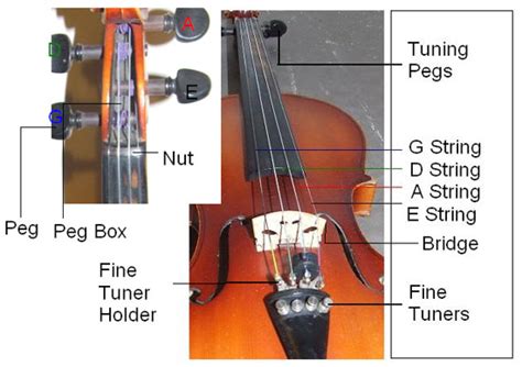 string  violin  tunedcom