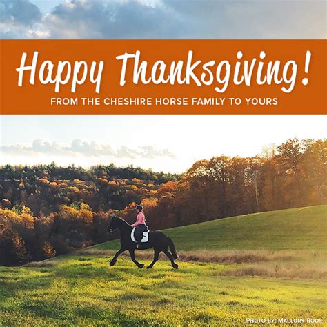 happy thanksgiving  cheshire horse