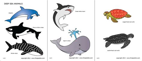 sea animals  printable templates coloring pages firstpalettecom