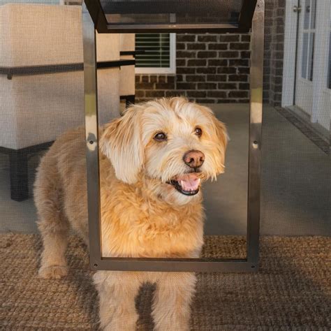 petsafe       pet screen door p zb   home depot