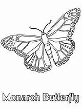 Monarch Butterfly Coloring Print sketch template