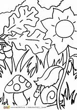 Woodland Kids Colouring Coloring Creatures Adult Alongside Shapes Ones Colour Larger Join Also Little sketch template