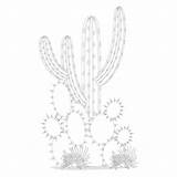 Desert Pages Coloring Plants Diorama Printables Printablee Habitat Via Printable sketch template