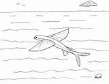 Fish Flying Coloring Pages Robin Great Lying Young sketch template